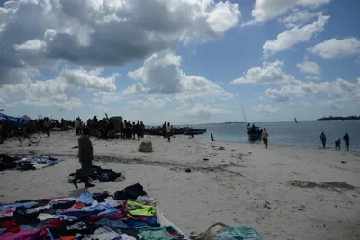 DSC_7621 (Large).JPG